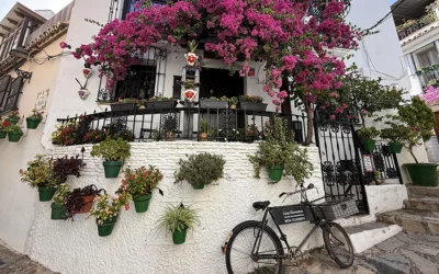Casa Florestos